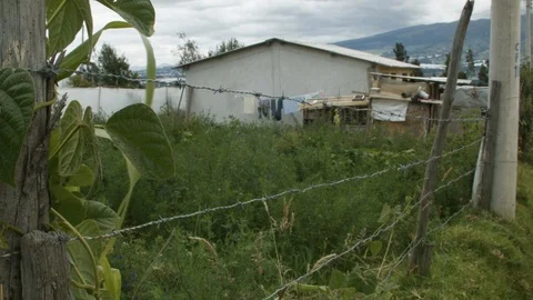 House with long grass behind barbed wire fence during day time, Ecuador Stock Footage 143013862