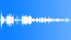 House Martin Adults Feeding Sound Effect