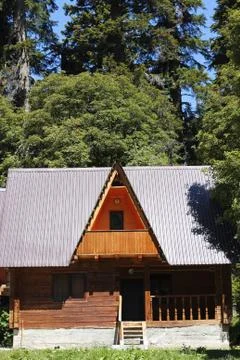House in the meddle of the forest Stock Photos