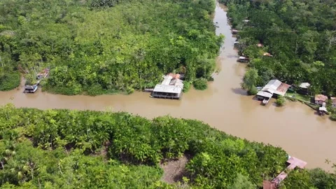 House in the middle of the Amazon, Ilha do Combu Video stock 195100895