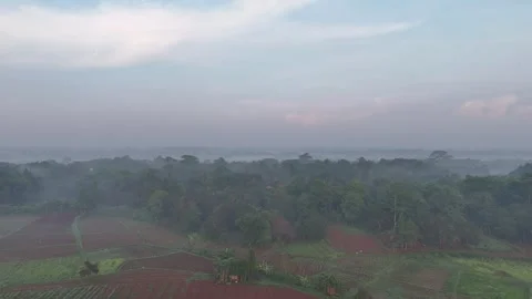 House in the middle of the forest Stock Footage 260202651