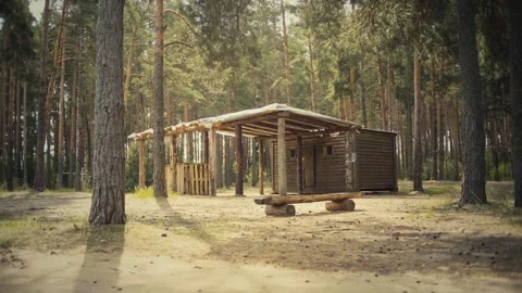 A house in the middle of the forest Video stock 305331244