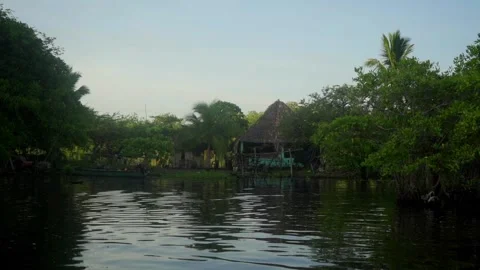 House in the Middle of the Mangroves Stock Footage 293899339