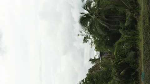 A house in the middle of palms trees. Stock Footage 161054096