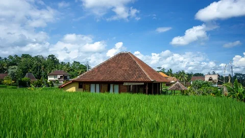 House in the middle of rice fields in Keliki area in Ubud, Bali, Indonesia Stock Footage 129538597
