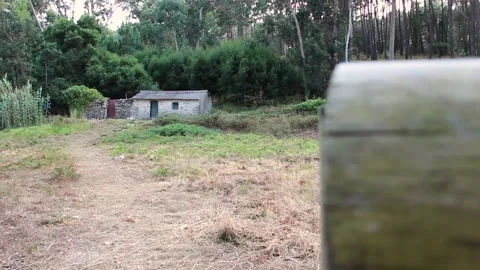 HOUSE IN THE MIDDLE OF THE TREES Stock Footage 94232715
