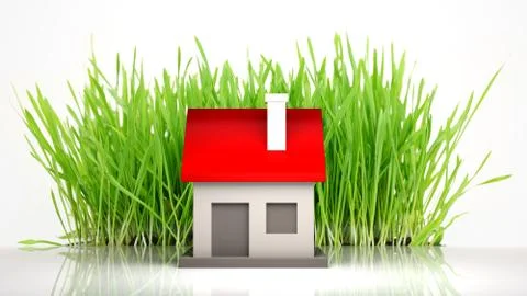 House model with grass  isolated on white background Stock Illustration