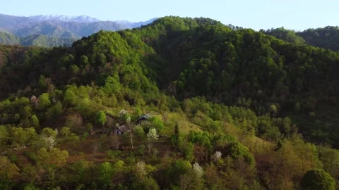 House On The Mountain Forest Stock Footage 168951389