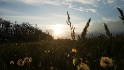 House in the mountains. Bottom view through the grass that sways. The concept of Stock Footage 110575295