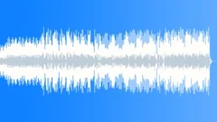 In The House Stock Music