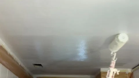House painter painting bathroom ceiling with roller Vidéo 341362983