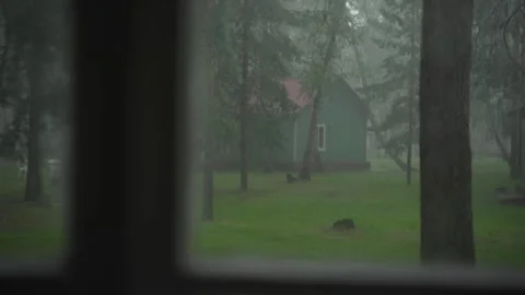 A house with a pine forest in the rain Stock Footage 250446779