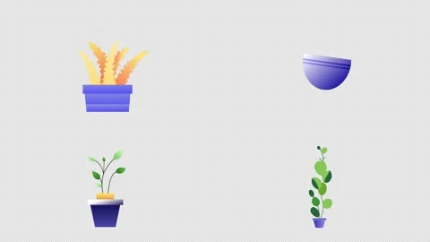 House Plants Animations Motion Graphics Stock Footage 285205185