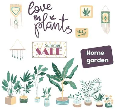 House plants. Flowerpot isolated objects, houseplant flower pot collection. H Stock Illustration