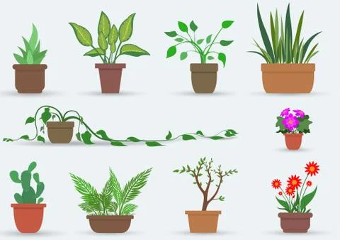House Plants Stock Illustration