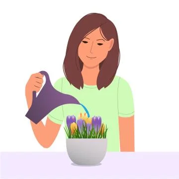 House plants Illustrazione stock