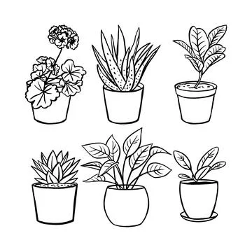 House plants in pots Stock Illustration