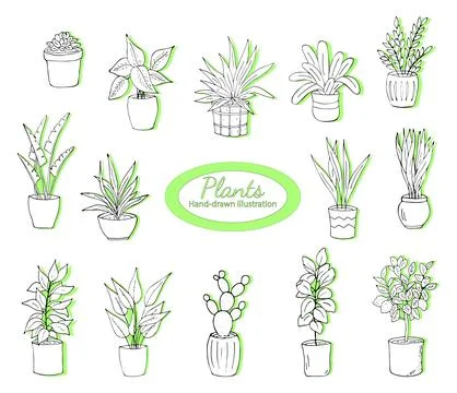 House plants in pots on a white background. Simple doodle home plants. Bota.. Stock Illustration