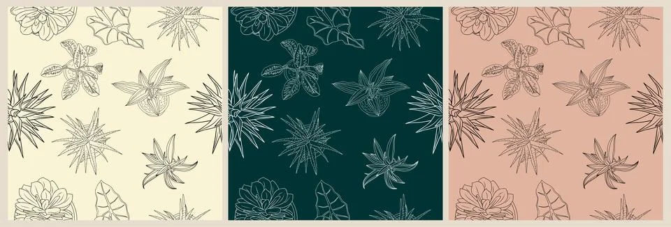 House plants seamless pattern top view line art. 스톡 일러스트