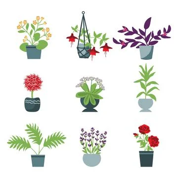 House plants set Stock Illustration