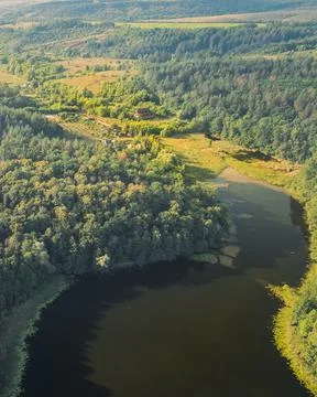 House on plot on the shore of a large lake among green forests with trees - Fotos de archivo