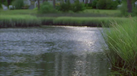 House on Pond 2 Vídeo Stock 40751673