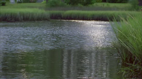 House on Pond 3 Vídeo Stock 40751635