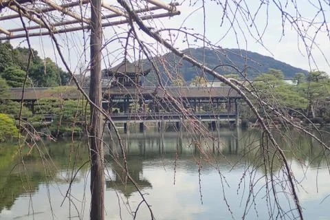 A house in a pond with reflection Foto stock