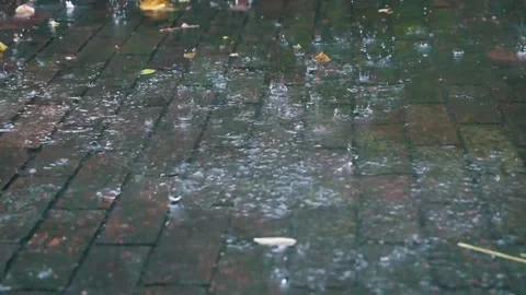 House Raining02 Stock Footage 156006561