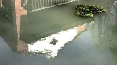 House reflection in the lake 스톡 동영상 22183801