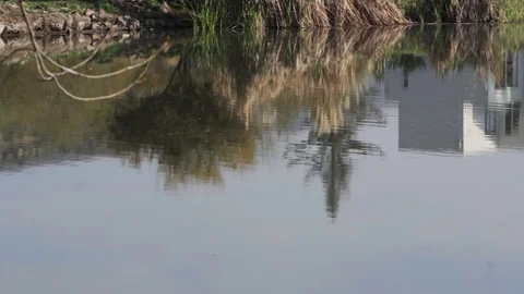 House reflection on lake Stock Footage 77052395