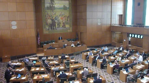 House of Representatives at Work Stock Footage 25001954