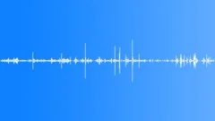 HOUSE, RESIDENTIALSound Effect