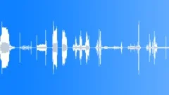 HOUSE, RESIDENTIALSound Effect