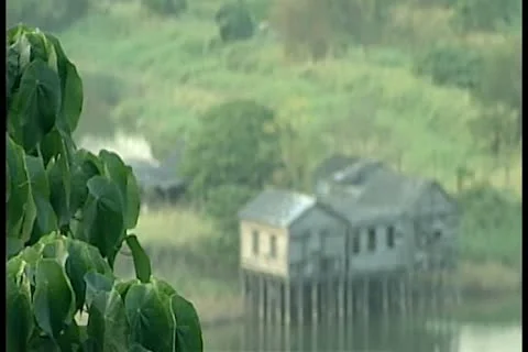 House on river 10 by DJM Video stock 11136138