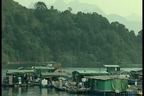 House on river 2 by DJM Video stock 11136128