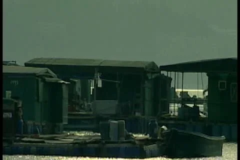 House on river 5 by DJM Video stock 11136120