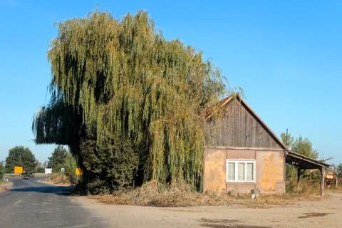House at road 스톡 사진