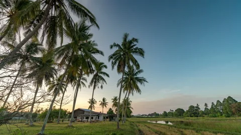 House at the sawa Stock Footage 134791656