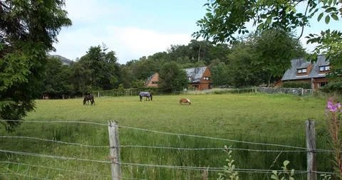 House in Scottish countryside Stock-Footage 101343067