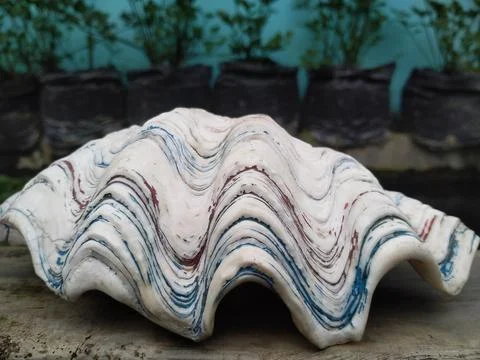 House Shells Stock-Fotos