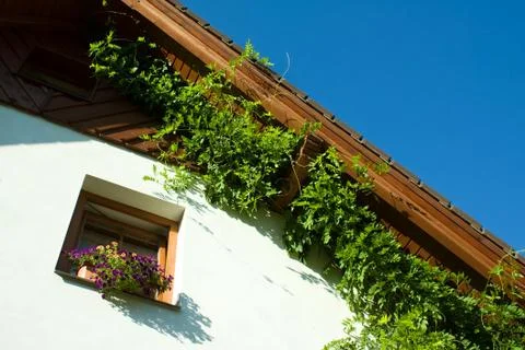 House shield Stock Photos