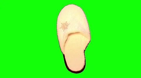 House slipper Stock Footage 44445715