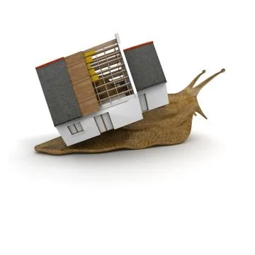 House of a snail Stock Illustration