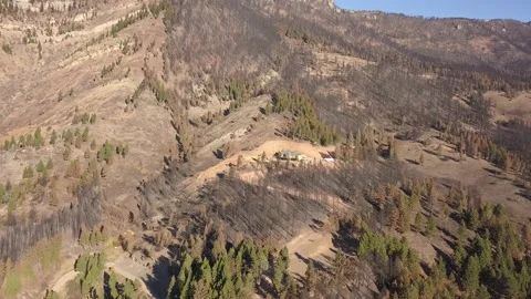 House spared by wildfire Stock Footage 166485888