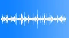 House Sparrow Calls Cu Sound Effect