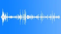 House Sparrow Calls CU Sound Effect