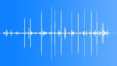 House Sparrow Calls Cu Sound Effect