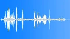 House Sparrow Calls Cu Sound Effect
