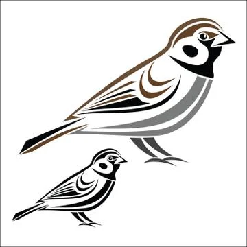 House sparrow Stock Illustration